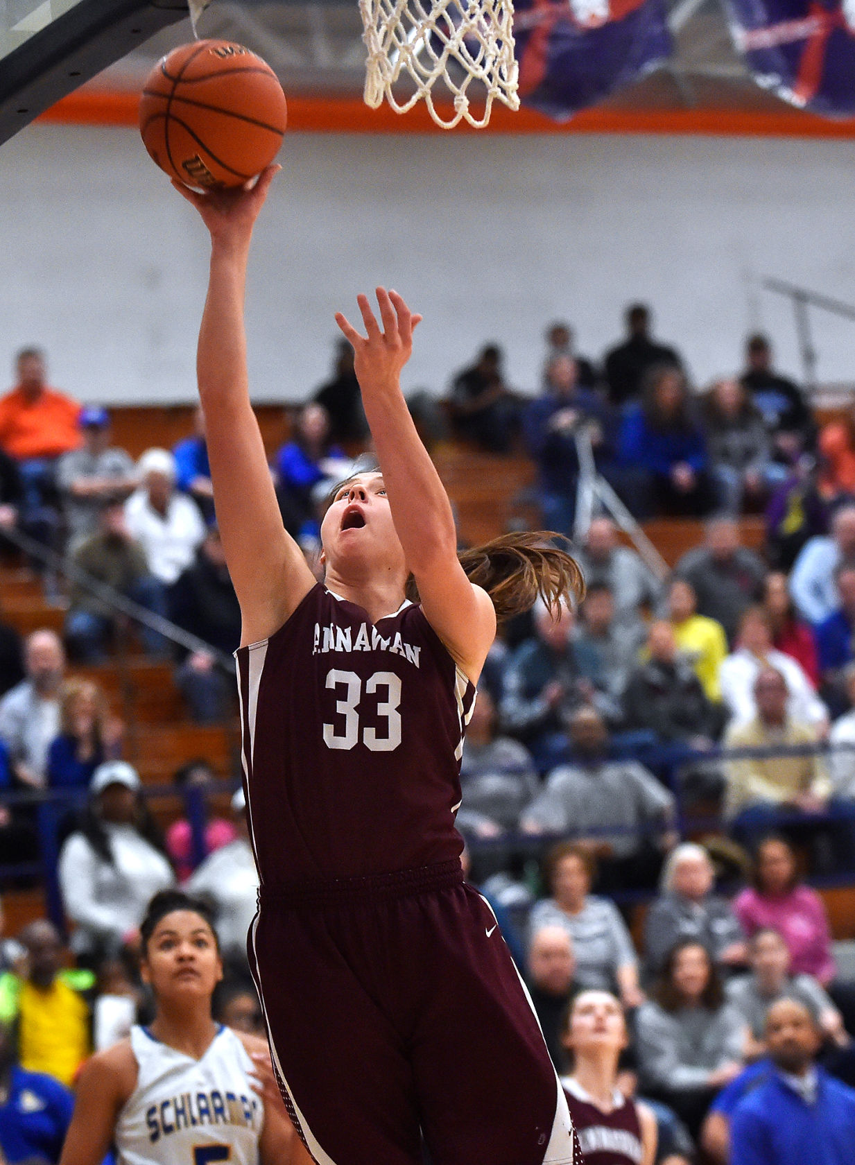 Class 1A Super-Sectional: Annawan vs. Schlarman